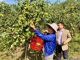 Thị trấn Phong Thổ đẩy mạnh công tác giảm nghèo nhanh và bền vững